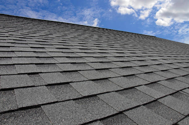 Best Skylight Installation and Repair  in Mead, WA